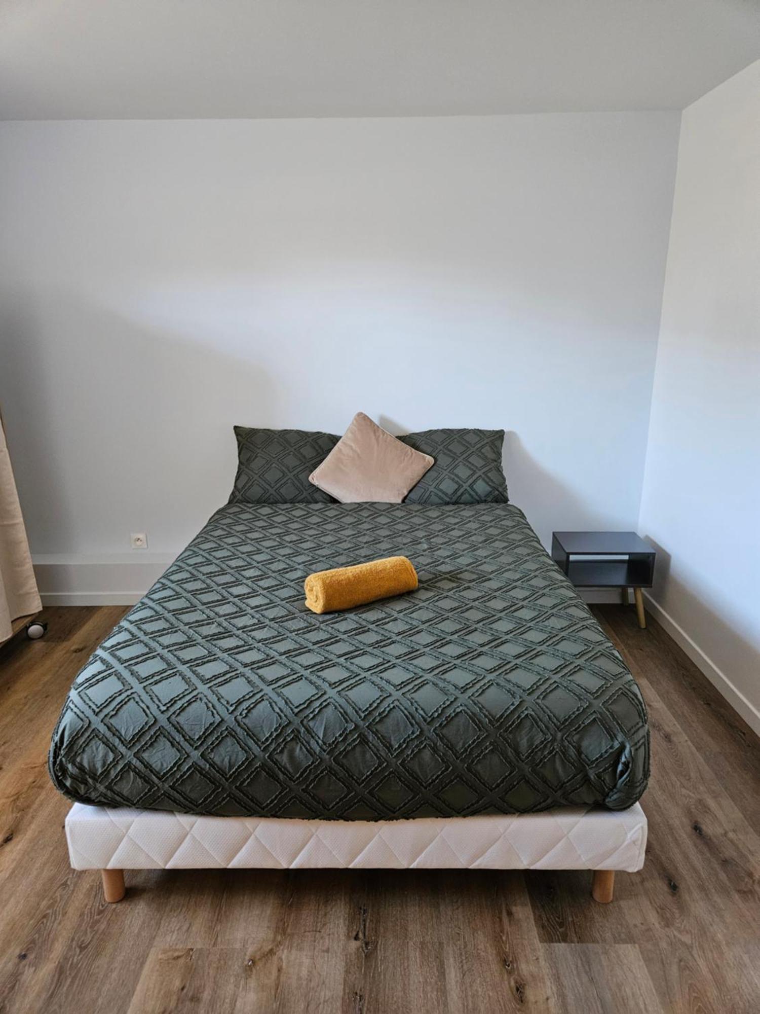 Maison Spacieuse Privatisee Ou A La Chambre - Places De Parking Saint-Michel  Exteriör bild